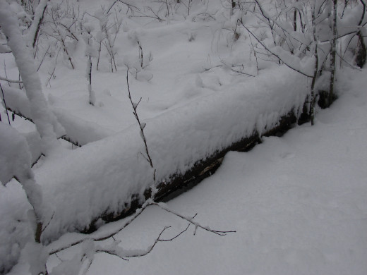 28521 (a): :1600x1200